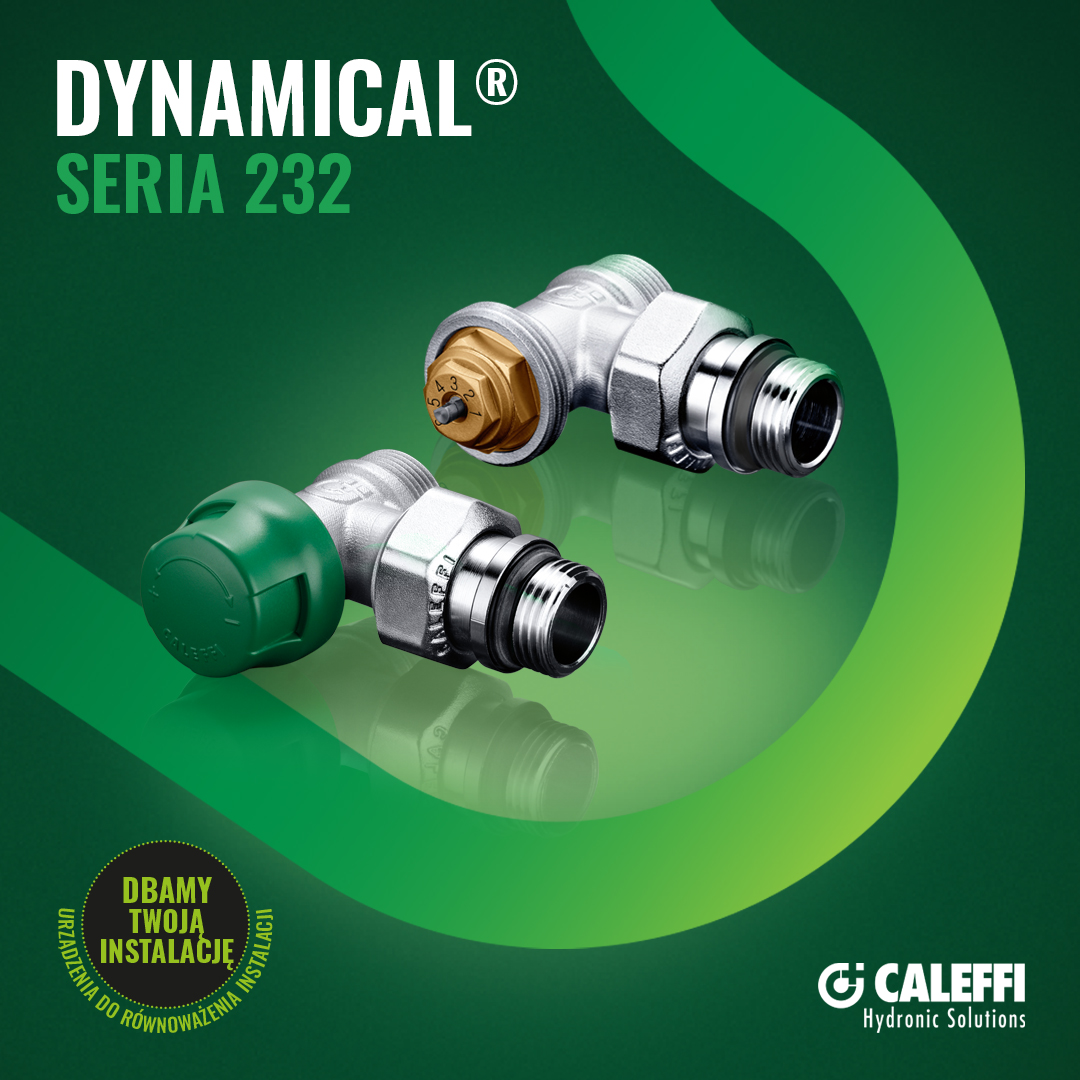 Dynamical Seria 232