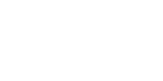 SAP Business One